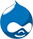 Drupal Process